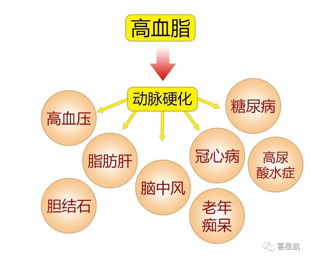 關(guān)于高血壓、糖尿病患者，9月1日起城鄉(xiāng)居民醫(yī)保門診用藥保(圖3)